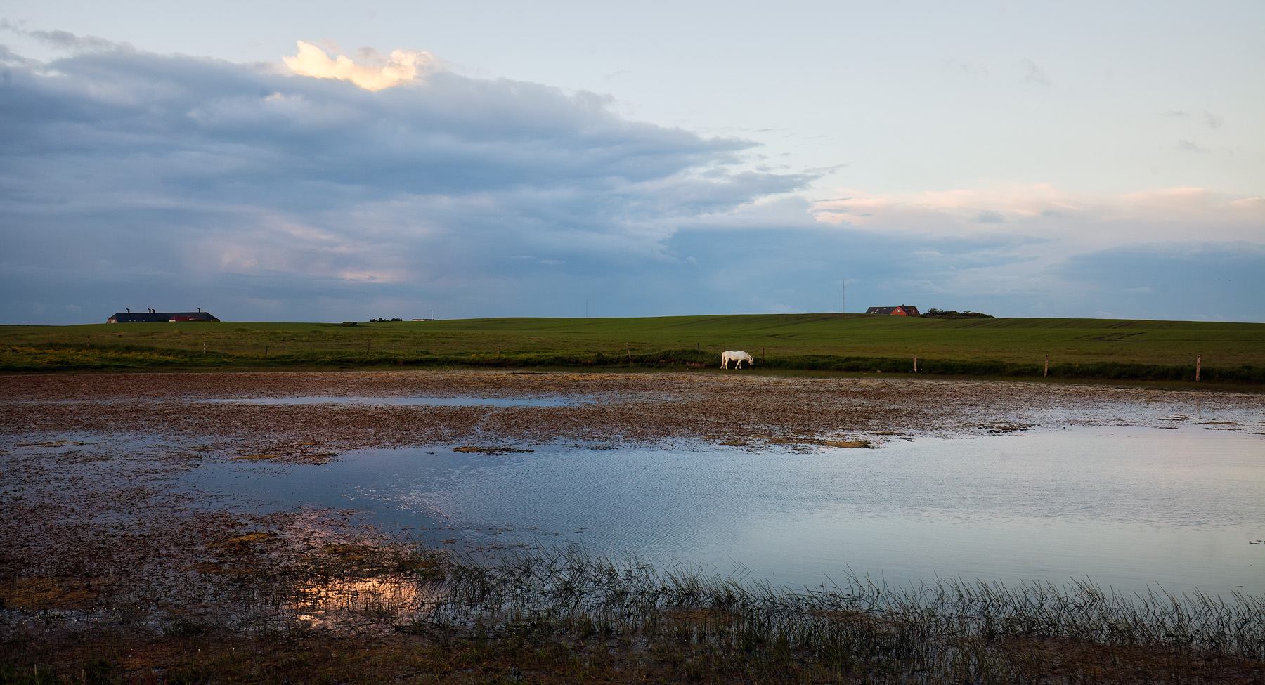 Home abendklang ueber daenemarks kueste