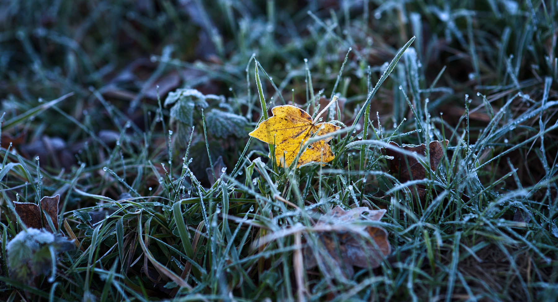 Home gefangen im frost slide