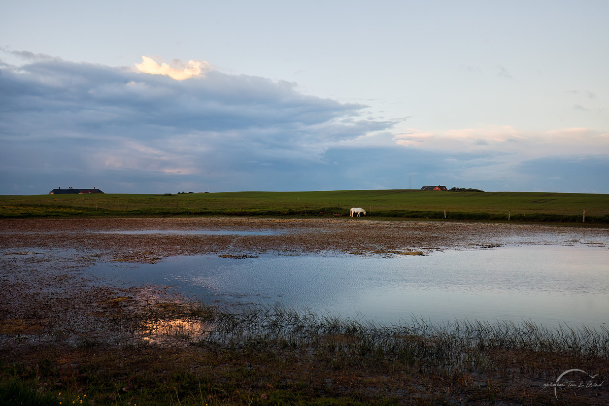 Abendspaziergang in Dänemark
