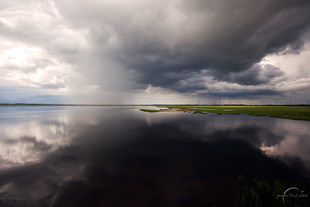 Naturschutzgebiert Lille Vildmose in Dänemark