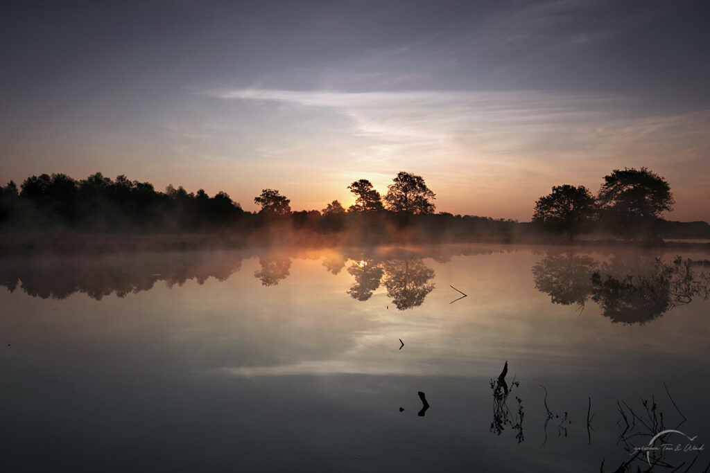 Morgenstimmung im Moor
