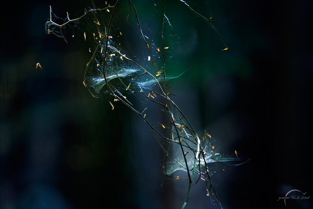 Halten oder Loslassen