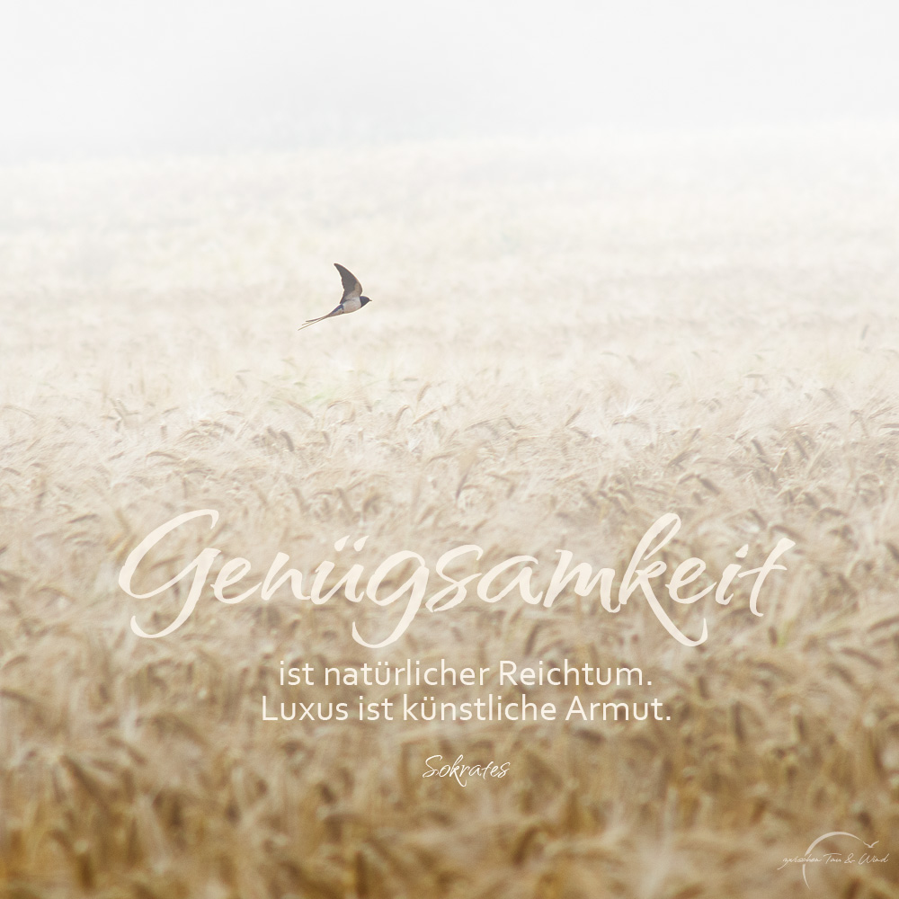 Genügsamkeit, Sokrates