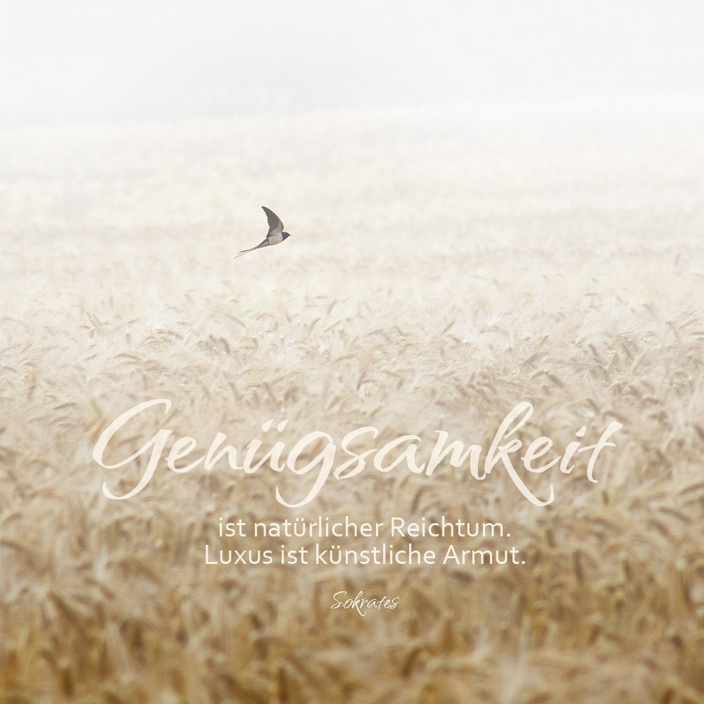 Genügsamkeit, Sokrates