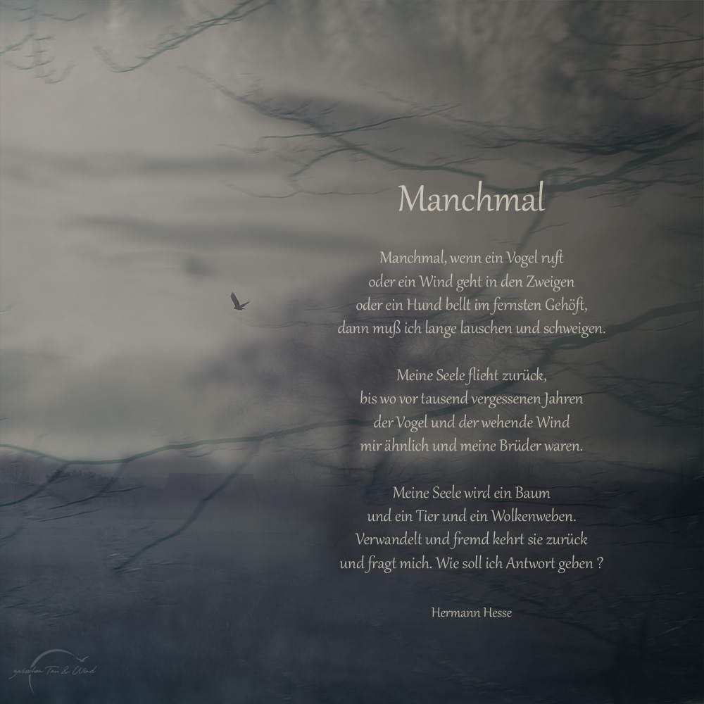 Manchmal, Hesse