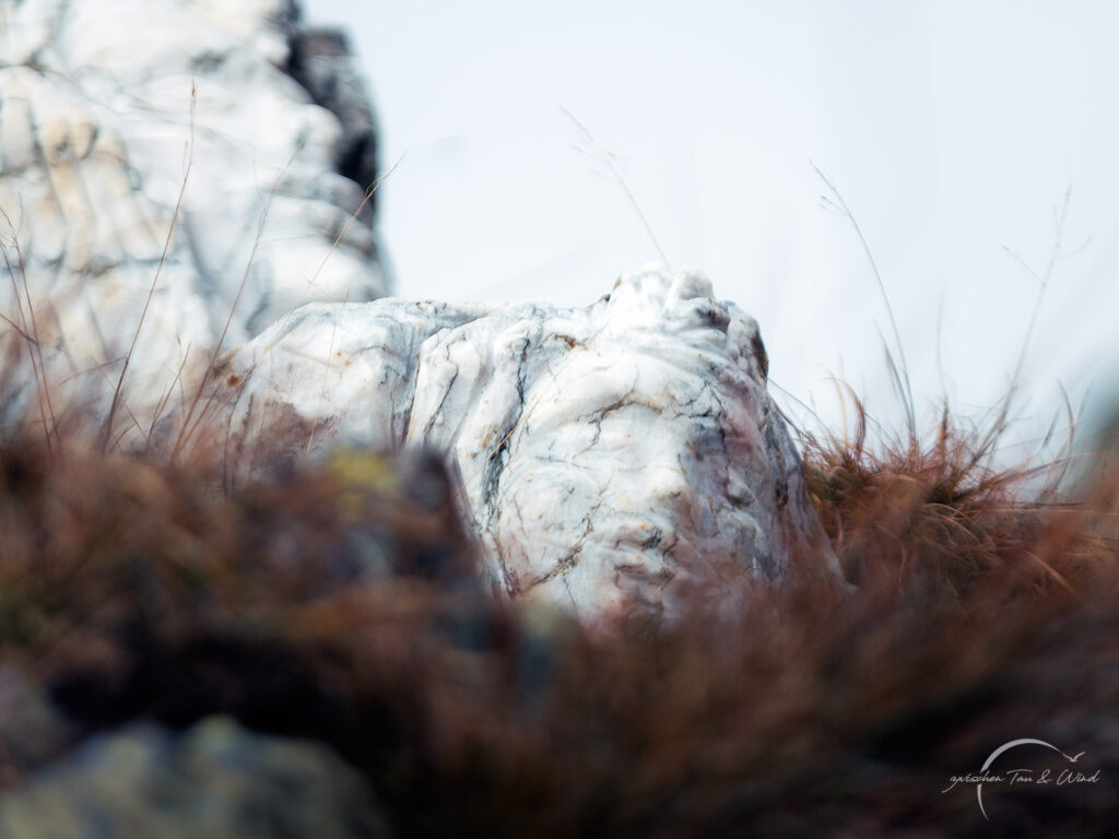 Steinskulptur am Passo San Marco („Sentieri Scolpiti“ (Die gemeißelten Pfade)) in Italien, von dem Künstler Angelo Gabriele Fierro. Kontemplative Fotografie aus dem Projekt "Zwischen Tau und Wind" von Katrin Jeschke