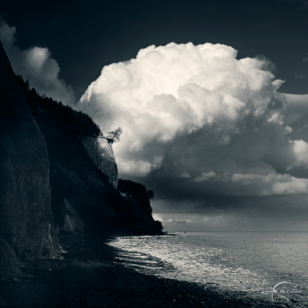 Ein einzelner, vom Wind geformter Baum an der Kante eines steilen Kreidefelsens auf Rügen. Im Hintergruund türmt sich eine dramatische, massive Wolkenformation über der Ostsee auf, die einen starken Kontrast zur ruhigen, kargen Klippenlandschaft bildet. Kontemplative Fotografie aus dem Projekt "Zwischen Tau und Wind" von Katrin Jeschke